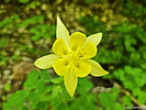 photo thumbnail #12