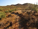 photo thumbnail #6