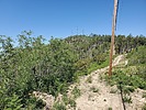 photo thumbnail #6