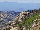 photo thumbnail #15