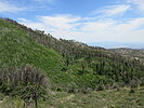 photo thumbnail #11