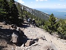 photo thumbnail #6