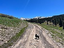 photo thumbnail #8