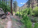 photo thumbnail #3