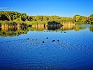 photo thumbnail #11