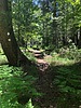 photo thumbnail #6