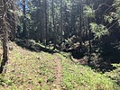 photo thumbnail #14