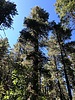 photo thumbnail #15