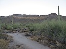 photo thumbnail #2