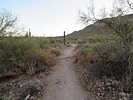 photo thumbnail #1