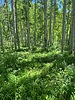 photo thumbnail #3
