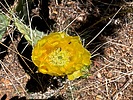 photo thumbnail #14
