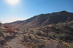photo thumbnail #2