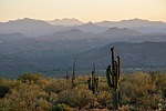 photo thumbnail #5