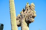 photo thumbnail #14