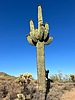 photo thumbnail #10
