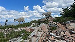 photo thumbnail #9