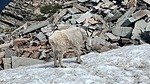 photo thumbnail #12