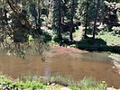 photo thumbnail #13