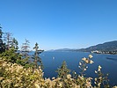 photo thumbnail #7