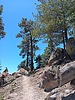 photo thumbnail #5