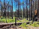 photo thumbnail #8
