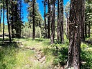 photo thumbnail #15