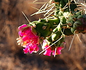 photo thumbnail #7