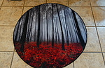 photo thumbnail #11