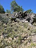 2023-06-29 :2: Tom Moody Loop Trail :: tibber