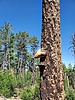 photo thumbnail #10