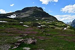 photo thumbnail #8