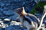 photo thumbnail #15