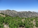 photo thumbnail #14