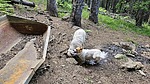 photo thumbnail #5