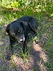 photo thumbnail #10