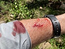 photo thumbnail #6