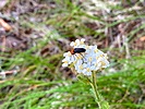 photo thumbnail #14