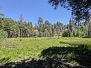 photo thumbnail #3