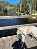 photo thumbnail #8