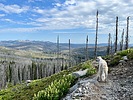 photo thumbnail #14