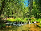 photo thumbnail #5