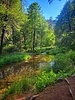photo thumbnail #13