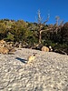 photo thumbnail #7