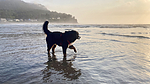 photo thumbnail #10