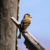 photo thumbnail #10
