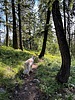 photo thumbnail #5