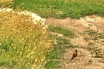 photo thumbnail #4