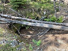 photo thumbnail #3