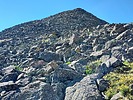 photo thumbnail #8